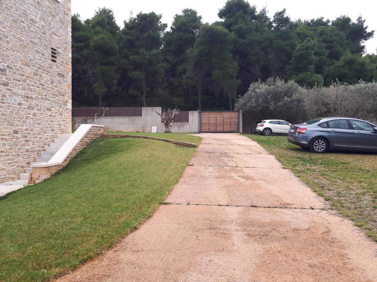 Villa Kalamos / Sea View And Pool Nearby Athens מראה חיצוני תמונה