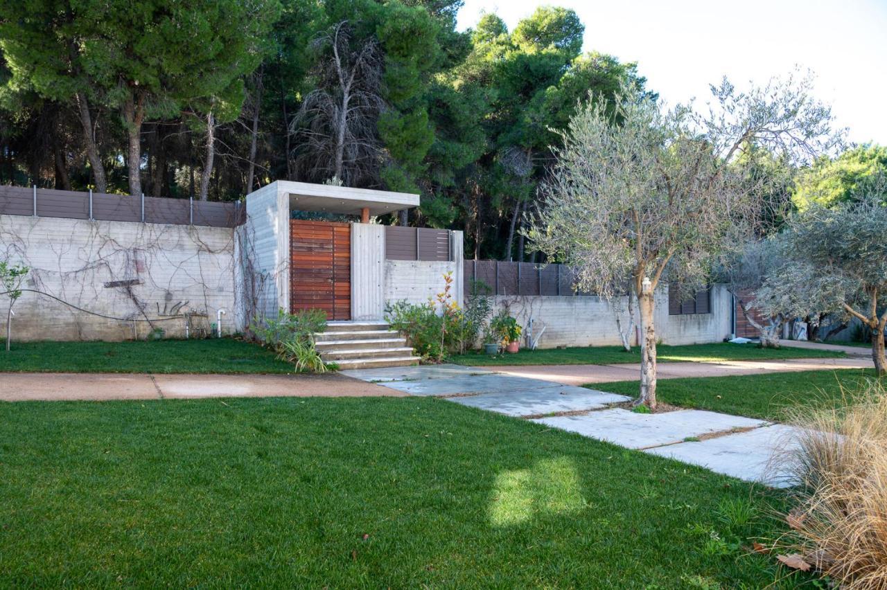 Villa Kalamos / Sea View And Pool Nearby Athens מראה חיצוני תמונה