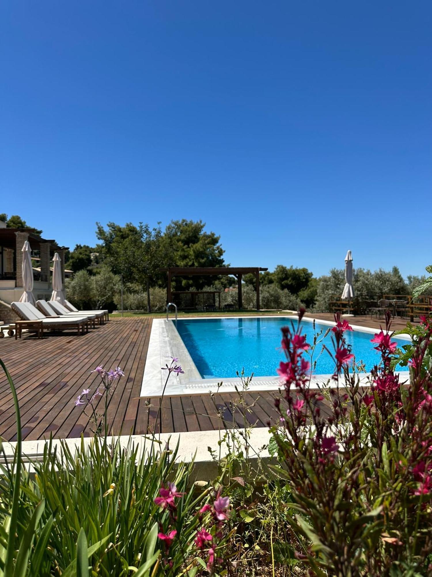 Villa Kalamos / Sea View And Pool Nearby Athens מראה חיצוני תמונה